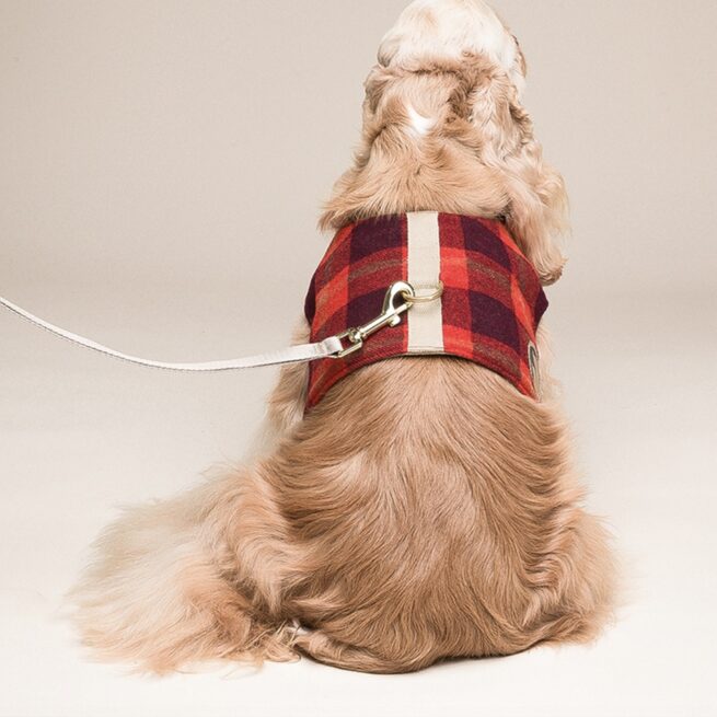 Arnés para perros tipo traje chaleco con cuadros rojos