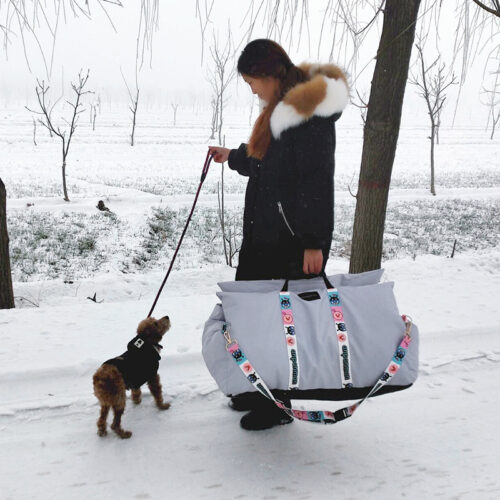 Chica junto a su perro con el asiento para el coche para perros elegante color gris