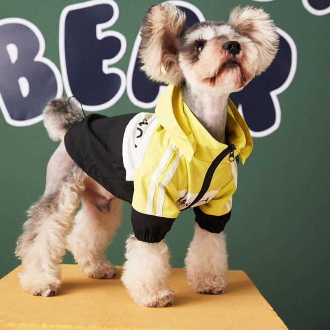 Chaqueta para perros impermeables estilo deportiva de color amarillo