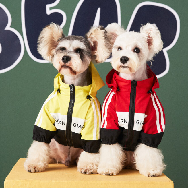 Dos perros llevando las chaquetas en los dos colores