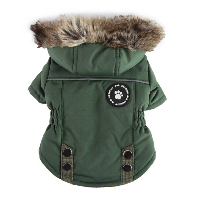 Chaqueta de invierno con capucha verde