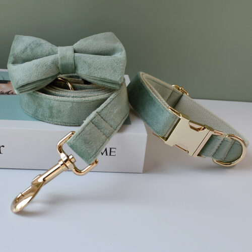 Conjunto de collar, correa y pajarita verde elegante