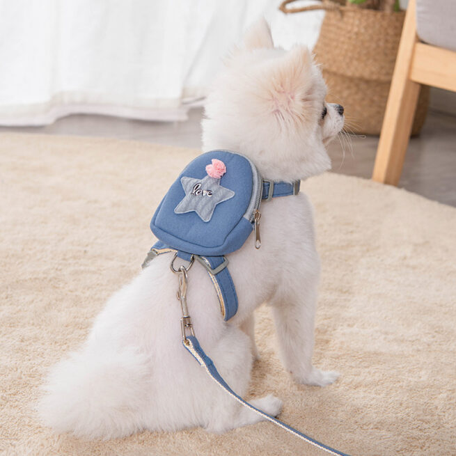 Perro llevando la mochila azul con la estrella