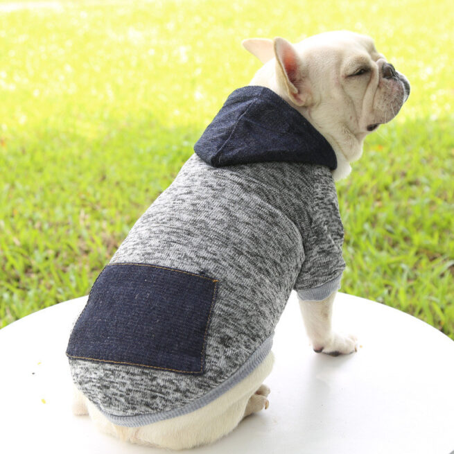 Sudadera con capucha otoñal para perros color gris