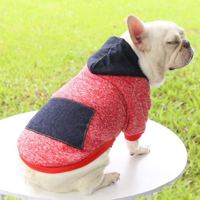Sudadera con capucha otoñal para perros color rojo con la capucha azul oscuro
