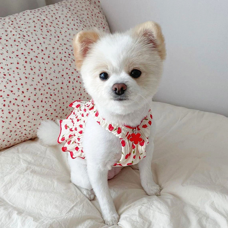 vestido-frutas-verano-perros-raijuu-18.jpg Vestido de verano con estampado de frutas para perros con estampado de cerezas rojas