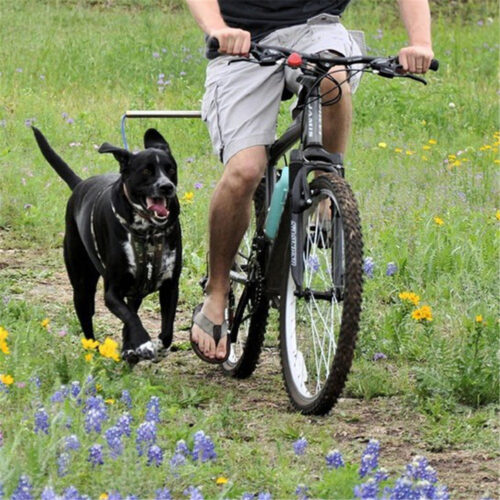 Chico yendo en bici junto a su perro con la Correa de paseo para biclicletas