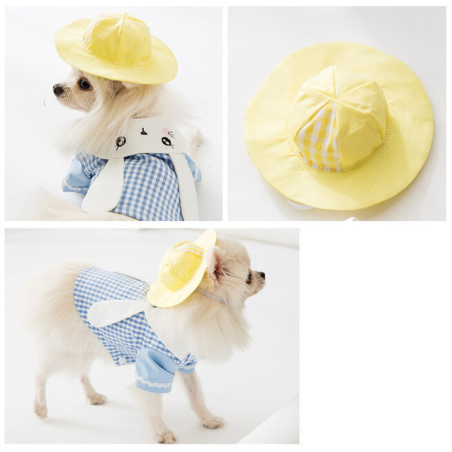 Perro llevando el sombrero de paseo color amarillo con orejitas