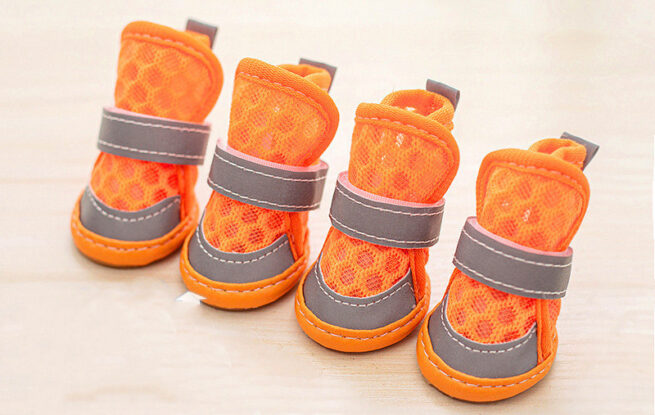 Zapatillas naranjas para perros