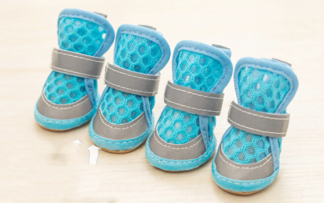 Zapatillas azules para perros