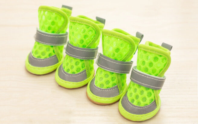 Zapatillas verdes para perros